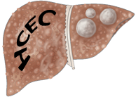 Hepatocellular Carcinoma Epidemiology Consortium